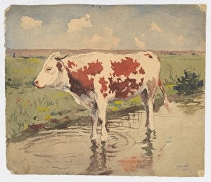Gustav Prints: Cow, 1904. Creator: Gustav Mally