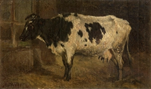 Animal Marking Prints: Cow, c1870s. Creator: Andre Plumot