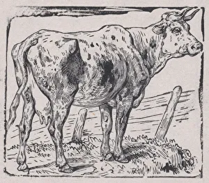 A Cow, ca. 1853. Creator: Charles Emile Jacque