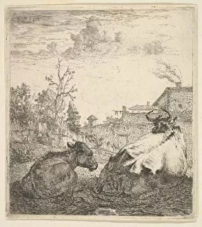 Calf Collection: The Cow and the Calf, 17th century. Creator: Karel Du Jardin