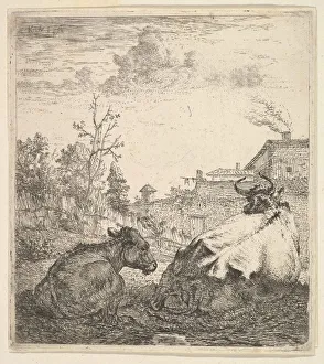 The Cow and the Calf, 17th century. Creator: Karel Du Jardin The Cow and the Calf, 17th century. Creator: Karel Du Jardin