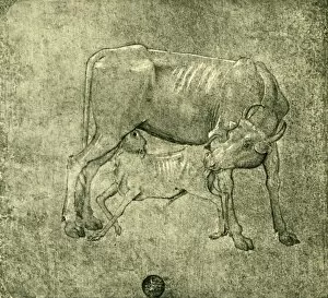 Benozzo Gozzoli Gallery: Cow and calf, mid-late 15th centuy, (1943). Creator: Benozzo Gozzoli