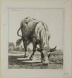 Cow Drinking, from Die Zweite Thierfolge, 1800. Creator: Johann Christian Reinhart