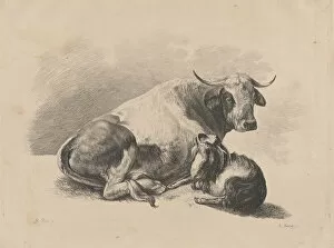 Bartsch Collection: Cow and goat lying down, 1800-01. Creator: Adam von Bartsch
