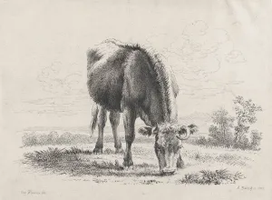 Viennese Prints: Cow grazing, 1805. 1805. Creator: Adam von Bartsch