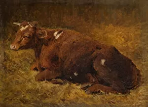 Chewing The Cud Gallery: A Cow Lying On The Ground, 1865-1872. Creator: Alfred Baker