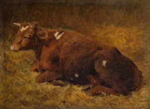 Straw Prints: A Cow Lying On The Ground, 1865-1872. Creator: Alfred Baker