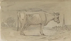 Pasture Prints: Cow in a meadow, 1864-1880. Creator: Johannes Tavenraat