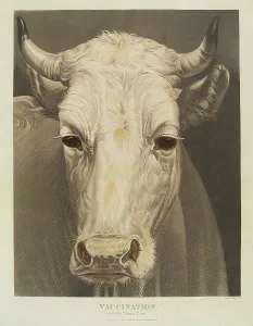 Solemn Prints: A cow named 'Vaccination', 1810. Creator: Matthew Dubourg