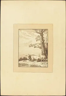 Karel Dujardin Prints: Cow Resting, published 1782. Creator: Regina Schönecker
