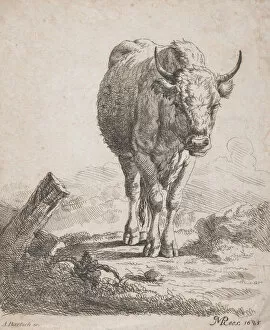 Bartsch Johann Adam Gallery: A cow, seen from the front, 1805. Creator: Adam von Bartsch