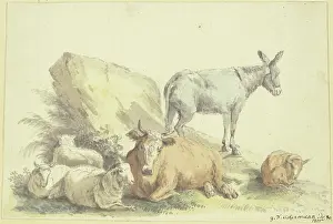 Ackermann Prints: A cow, three sheep, a donkey, and a calf, 1800. Creator: Georg Friedrich Ackermann