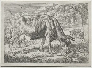 Cow and Two Sheep at the Foot of a Tree, 1670. Creator: Adriaen van de Velde (Dutch, 1636-1672)