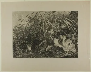 Grasses Prints: Cow Standing in a Swamp, n.d. Creator: Carl Wilhelm Kolbe the elder
