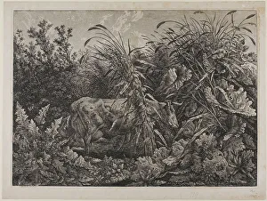 Cow in a Stream, n.d. Creator: Carl Wilhelm Kolbe the elder