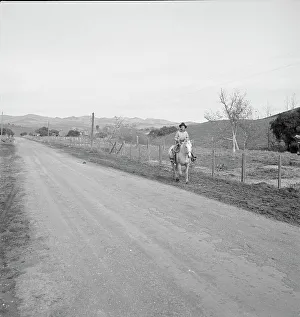 Cowboy coming in from the hills, San Luis Obispo County, California, 1939. Creator: Dorothea Lange