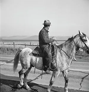 Cowboy Prints: Cowboy coming in from the hills