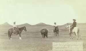 Grabill Prints: Cowboys, roping a buffalo on the plains