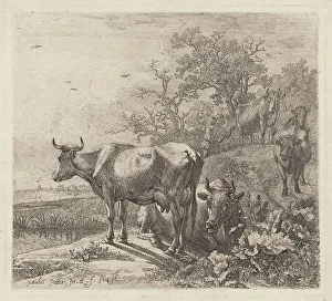 Potter Paulus Prints: The Cowherd, 1643 (printed 1868?). Creator: Paulus Potter