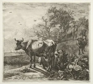 Paulus Potter Prints: The Cowherd. Creator: Paulus Potter (Dutch, 1625-1654)