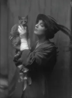 Jane Bailey Prints: Cowl, Jane, Miss, with Buzzer the cat