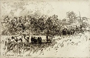Etching And Drypoint Prints: The Four Cows, 1882. Creator: Francis Seymour Haden