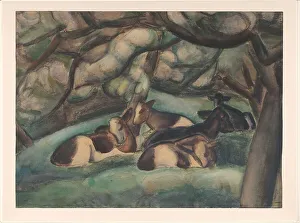 Polder Prints: Cows in the Beemster Polder, 1921. Creator: Leo Gestel