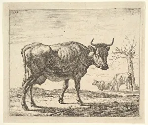 Velde Prints: Three Cows, from Different Animals. Creator: Adriaen van de Velde