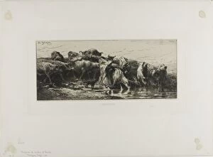 Cows Drinking, 1866. Creator: Charles Emile Jacque