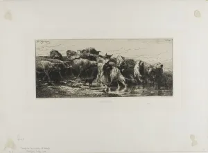 Muddy Prints: Cows Drinking, 1866. Creator: Charles Emile Jacque