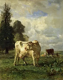 Farm Animal Prints: Cows in the Field, 1852. Creator: Constant Troyon