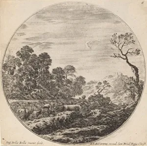 Cows Grazing in a Valley, 1646. Creator: Stefano della Bella