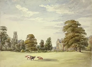 Elizabeth Heaphy Prints: Cows before Manor House and Church, n. d. Creator: Elizabeth Murray