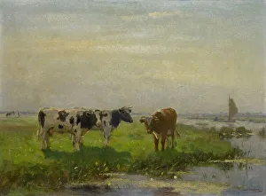 Cows in the Meadow, 1875-1941. Creator: Bernardus Antonie van Beek