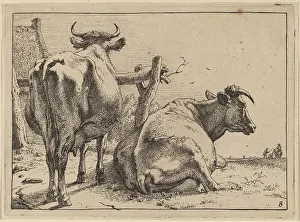 Potter Paulus Prints: Two Cows Seen from Behind, 1650. Creator: Paulus Potter