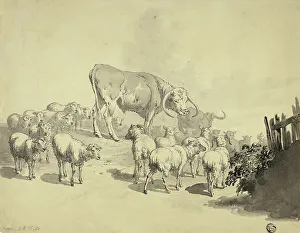 Cows and Sheep, n.d. Creator: Robert Hills