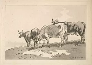 Rowlandson Collection: Three Cows Standing on the Ridge of a Field, 1784-87. Creator: Thomas Rowlandson