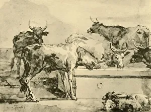 Wash Prints: Cows watering, mid-late 18th century, (1928). Artist: Giovanni Domenico Tiepolo