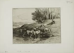 Drypoint Collection: Cows at the Watering Place, 1850. Creator: Charles Emile Jacque