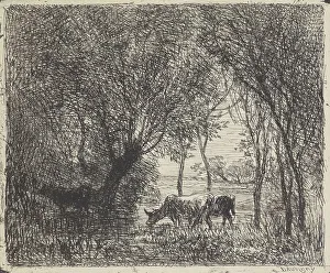 Te Papa Tongarewa Prints: Cows in woods, 1862. Creator: Charles Francois Daubigny