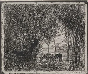 Cliche Verre Prints: Cows in the Woods, original impression 1862, printed in 1921