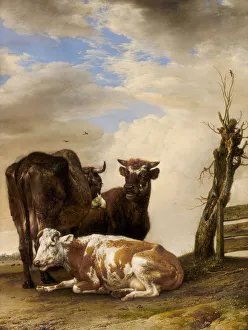 Two Cows and a Young Bull beside a Fence in a Meadow, 1647. Creator: Paulus Potter Two Cows and a Young Bull beside a Fence in a Meadow, 1647. Creator: Paulus Potter