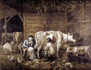 Chicken Prints: The Cowshed