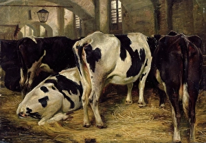Anders Askevold Prints: Cowshed, 1856. Creator: Anders Monsen Askevold