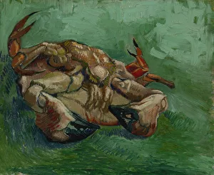 0 Holland Prints: A Crab on its Back