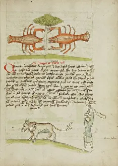 Hitting Prints: A Crab and Its Mother: A Man Hitting a Donkey; Fables