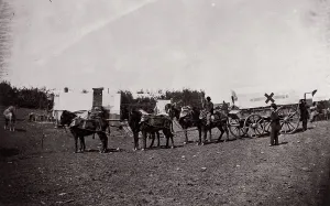 Covered Wagons Prints: The Crack Team of the 1st Division, 6th Corps near Hazel River, Virginia, 1861-65