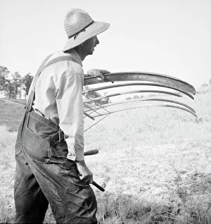 Workwear Prints: Cradling wheat near Christianburg, Virginia, 1936. Creator: Dorothea Lange