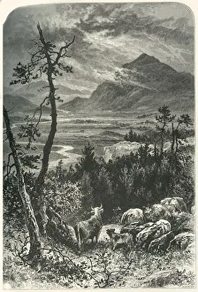 Petter Gallery: Craig-Dhu: From Above Kinguissie, c1870