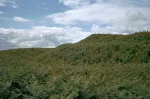 Iron Age Prints: Cranbrook Castle